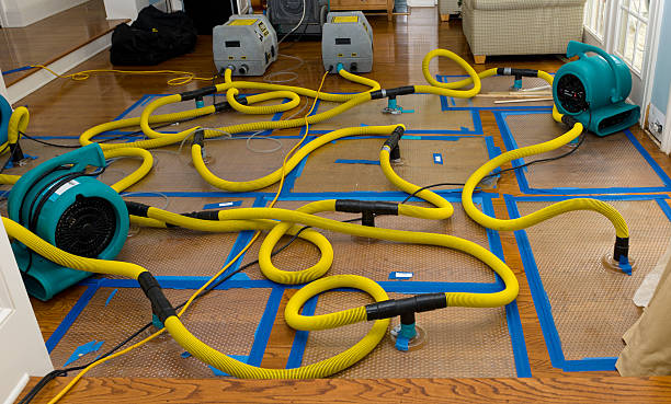 Professional Basement Flood Cleanup technician working in Walker, LA